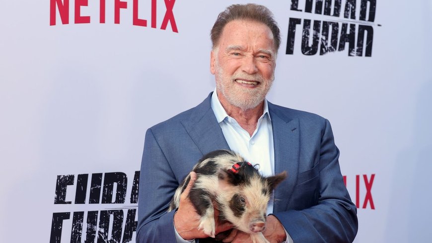 Arnold Schwarzenegger