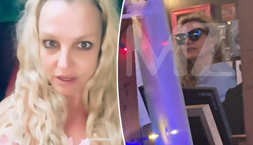 Britney Spears Breaks Silence with an F-Bomb After Sherman Oaks Drama
