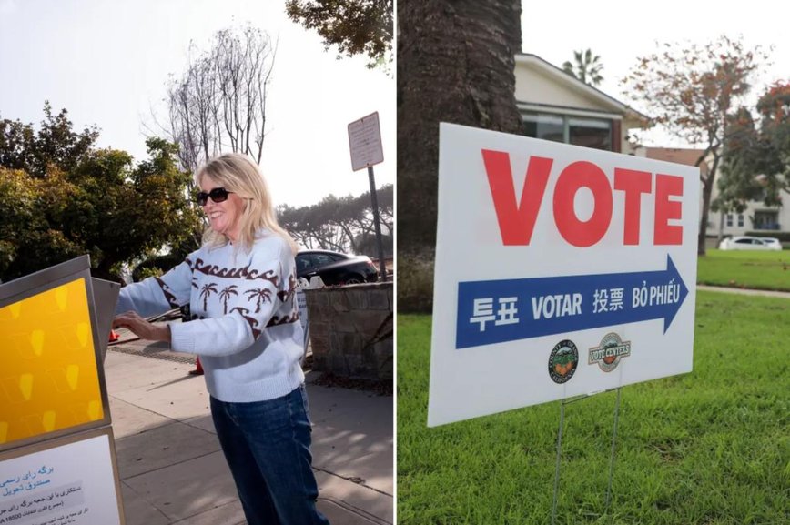 Dog Days of Voting: California's Wacky Election Fraud Drama