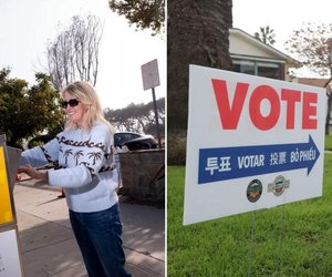 Dog Days of Voting: California's Wacky Election Fraud Drama