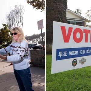 Dog Days of Voting: California's Wacky Election Fraud Drama