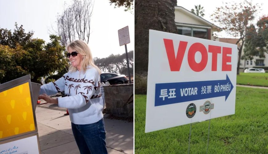 Dog Days of Voting: California's Wacky Election Fraud Drama