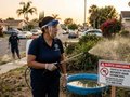 West Nile Virus Alert: Fullerton Becomes Orange County's Hot Zone