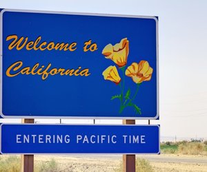 How Russian Boars Turned California Into a Wild Pig Paradise