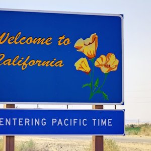 How Russian Boars Turned California Into a Wild Pig Paradise