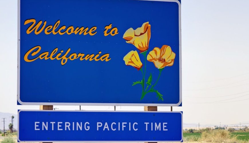How Russian Boars Turned California Into a Wild Pig Paradise