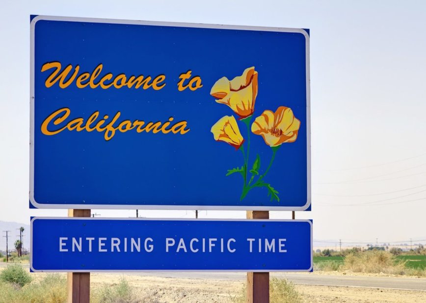 How Russian Boars Turned California Into a Wild Pig Paradise