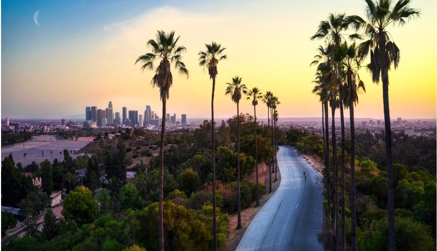 Can Fintech Bridge the Wealth Divide in Los Angeles?