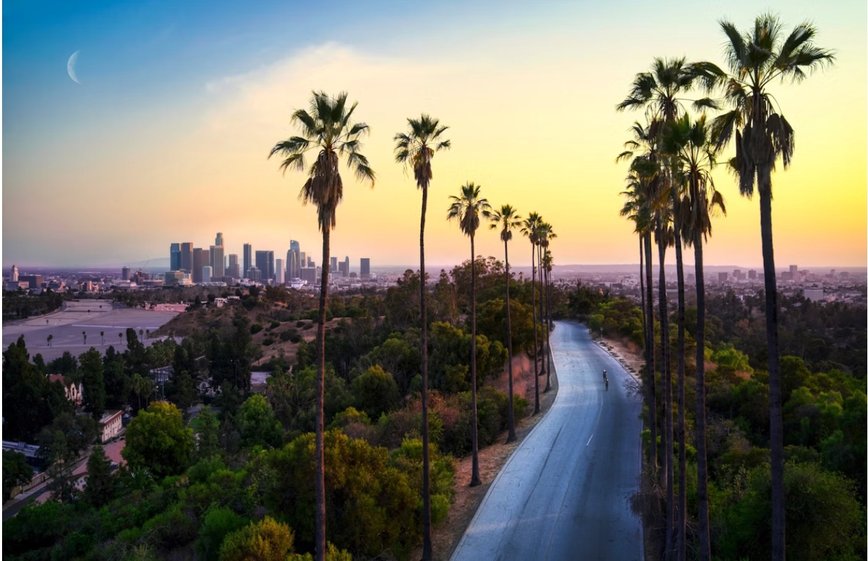 Can Fintech Bridge the Wealth Divide in Los Angeles?