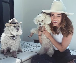 Celebrities and Their Iconically Named Pets: A Tribute to Pop Culture