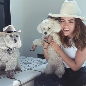 Celebrities and Their Iconically Named Pets: A Tribute to Pop Culture