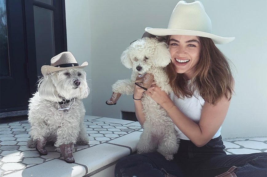 Celebrities and Their Iconically Named Pets: A Tribute to Pop Culture