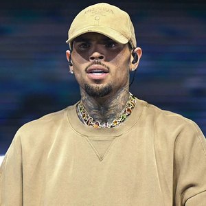 Chris Brown Faces $13M Payout After Dog Attack Lawsuit Drama