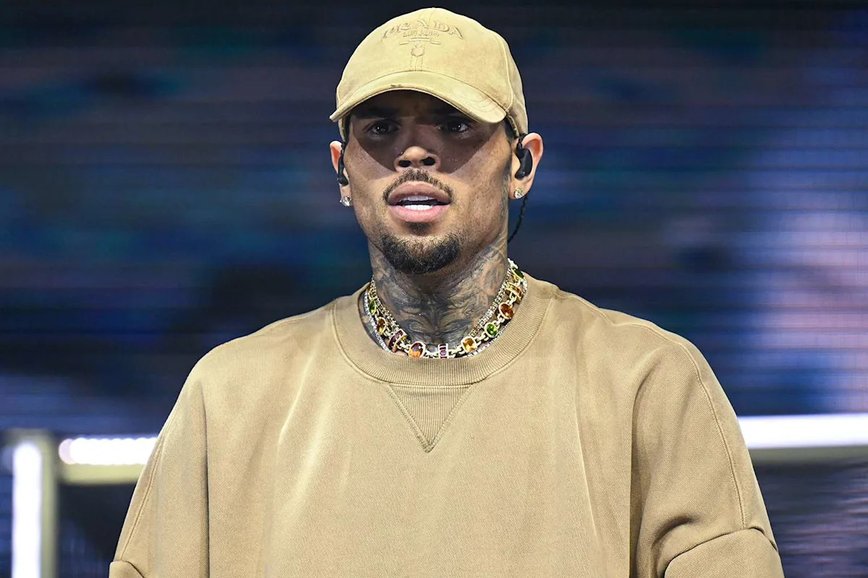 Chris Brown Faces $13M Payout After Dog Attack Lawsuit Drama