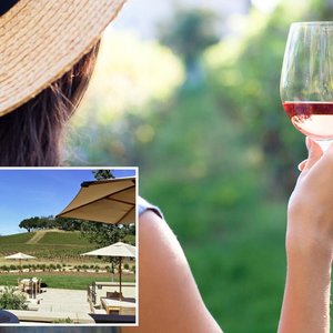 California's Vineyard Drama: Sexual Harassment Lawsuit Settled with $1.49 Million Payout