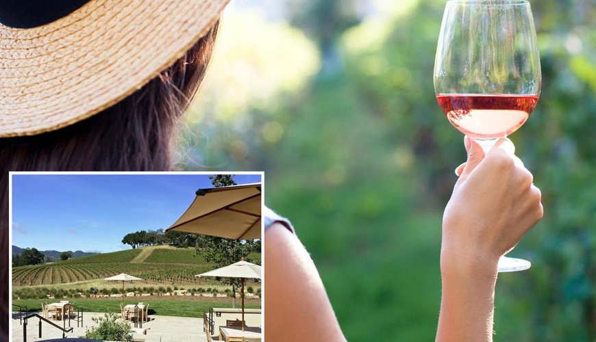 California's Vineyard Drama: Sexual Harassment Lawsuit Settled with $1.49 Million Payout