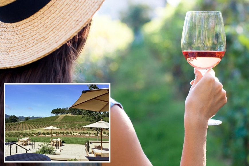 California's Vineyard Drama: Sexual Harassment Lawsuit Settled with $1.49 Million Payout