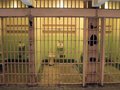 California Prison Scandal Reaches Finale: Former Medic Sentenced to Four Years