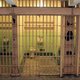 California Prison Scandal Reaches Finale: Former Medic Sentenced to Four Years