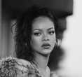 Rihanna's Beverly Crest Drama: Florida Woman Arrested After Bizarre Shooting