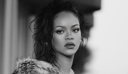 Rihanna's Beverly Crest Drama: Florida Woman Arrested After Bizarre Shooting