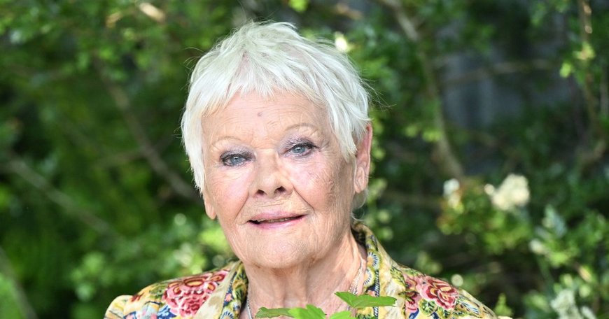 Judi Dench