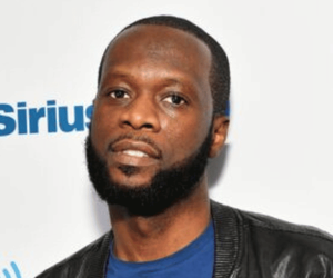 Pras Michel's Legal Odyssey: Beginning a 14-Year Sentence Amidst Political Scandals