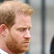 Prince Harry: Cashing in on Royal Drama from the California Sun