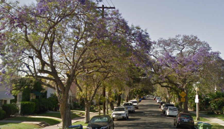 Larchmont Village Residents Rally Against Surging Sex Work – A Glitzy Neighborhood's Battle