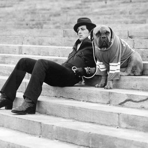 The Untold Story Behind 'Rocky's' Iconic Scene: Stallone's Unsanctioned Adventure