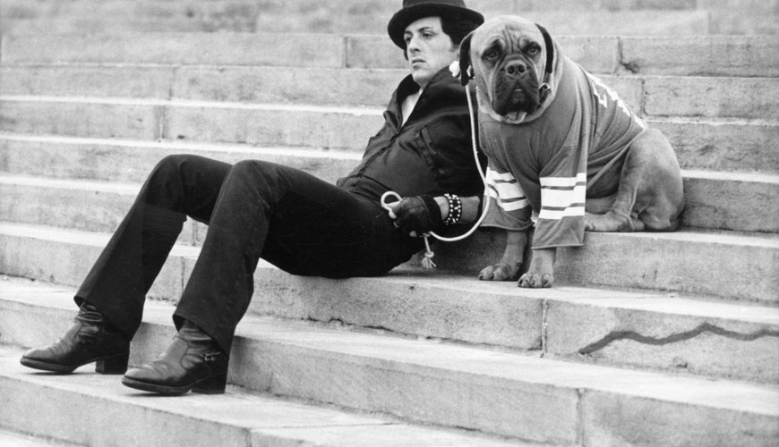 The Untold Story Behind 'Rocky's' Iconic Scene: Stallone's Unsanctioned Adventure