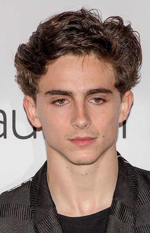 Timothée Chalamet